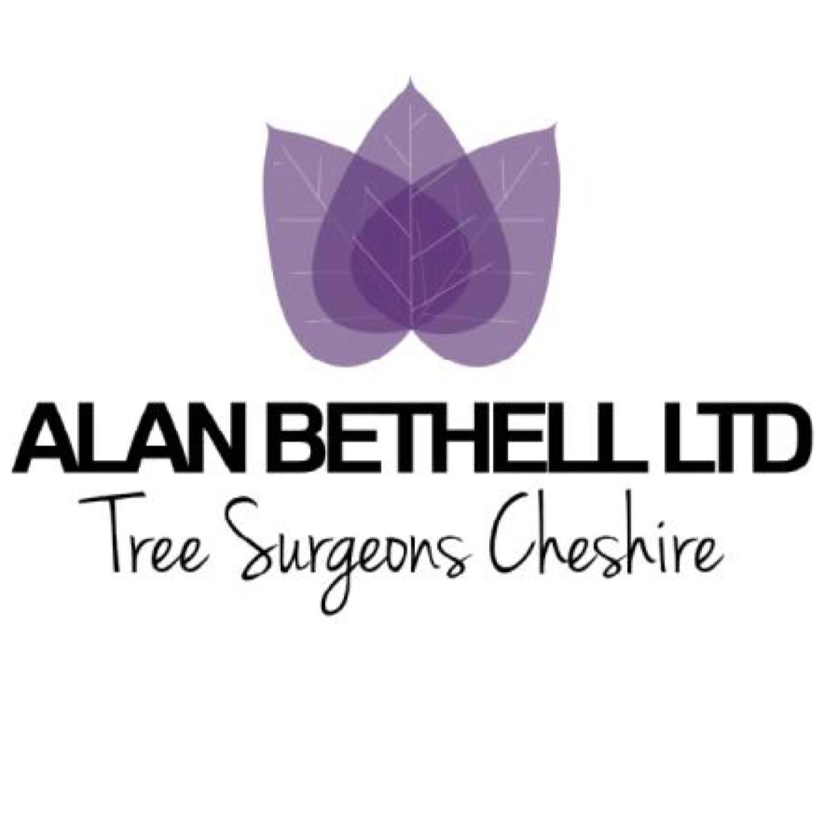 Alan Bethell